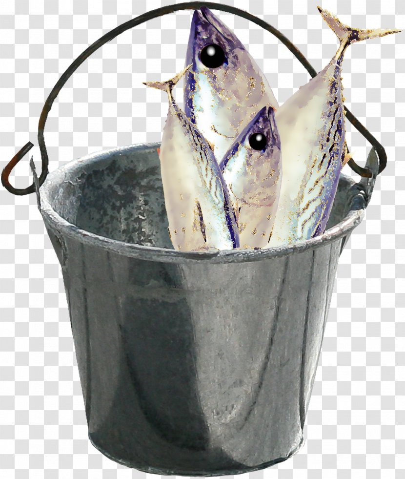 Bucket Fish Drum Barrel - Search Engine Transparent PNG