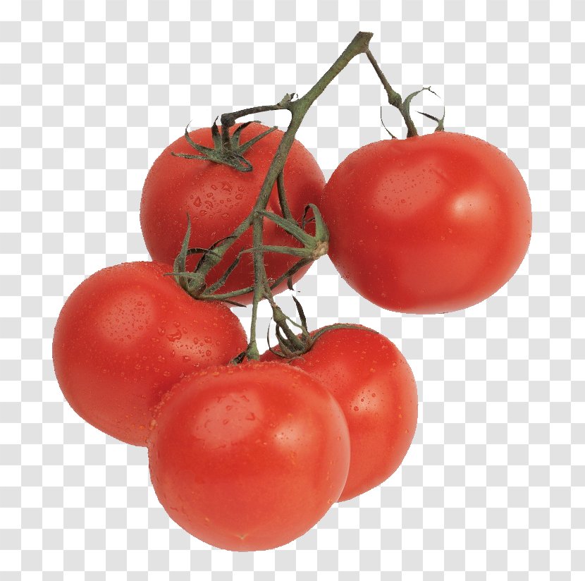 Tomato Juice Cherry Vegetable Ripening Food - Fruit - Bunch Of Delicious Tomatoes Transparent PNG