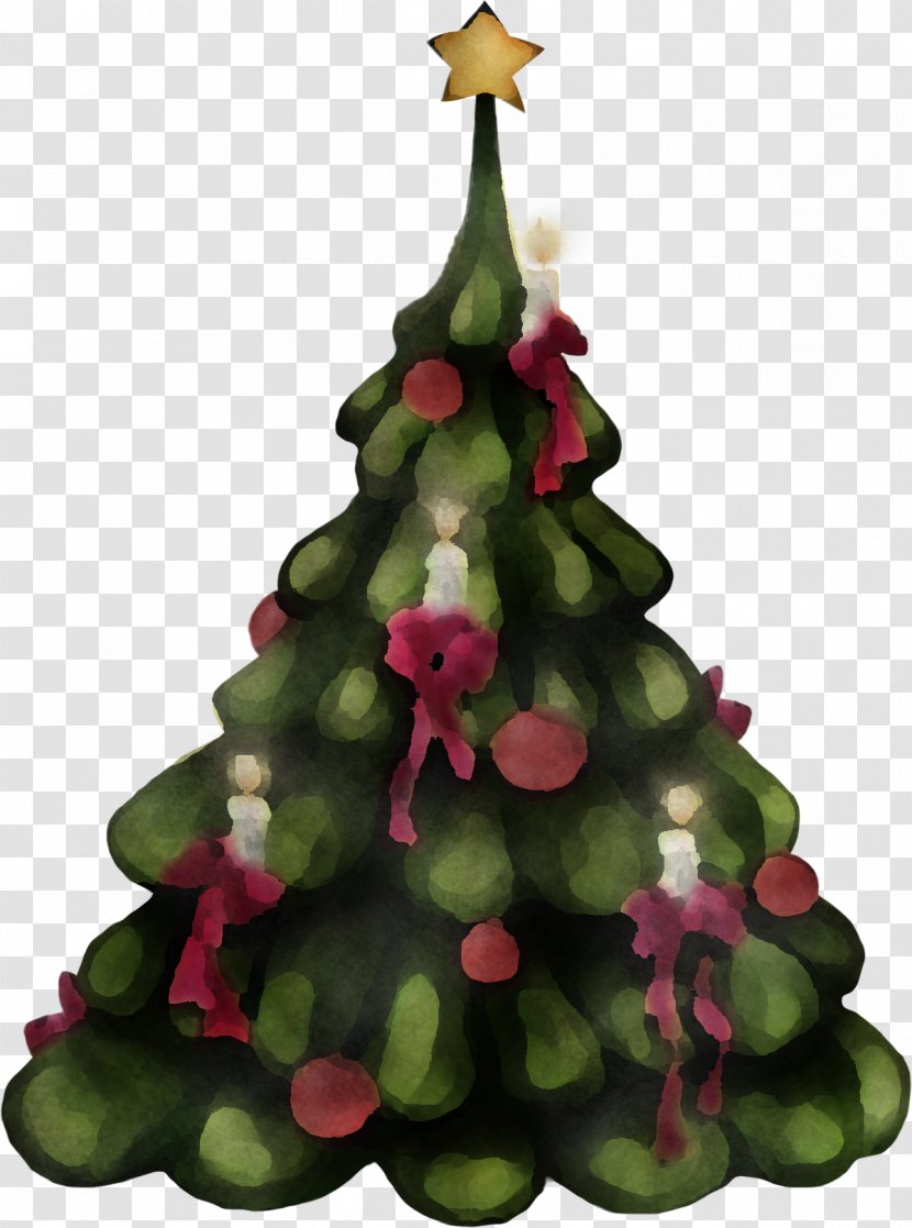 Christmas Decoration - Fir - Conifer Transparent PNG