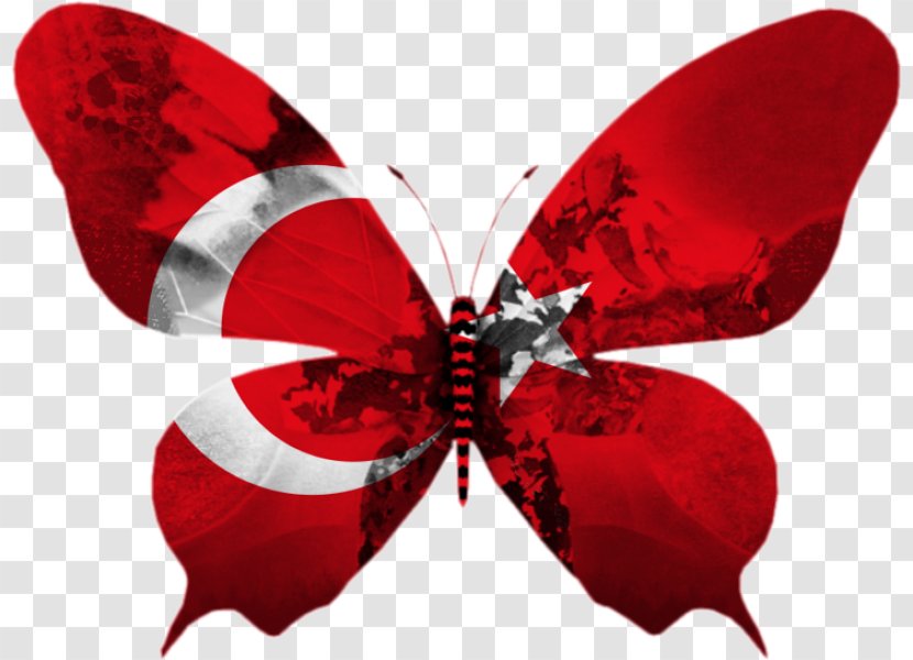 Flag Of Turkey Agar.io Eurovision Song Contest Portugal - Fahne - Sosyal Transparent PNG