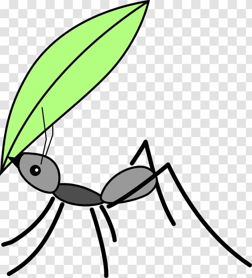 Black Garden Ant Insect Drawing Clip Art - Ants Transparent PNG