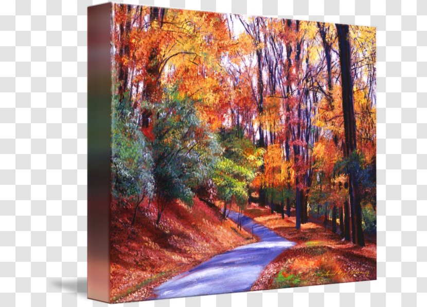 Painting Acrylic Paint Fine Art Gallery Wrap - Forest Transparent PNG