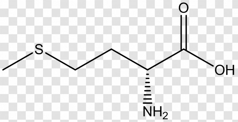 Essential Amino Acid Methionine Phenylalanine - Diagram - Biochemistry Transparent PNG