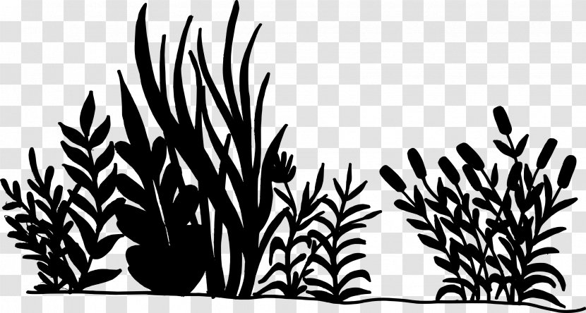 Pattern Commodity Font Grasses Line - Vegetation Transparent PNG