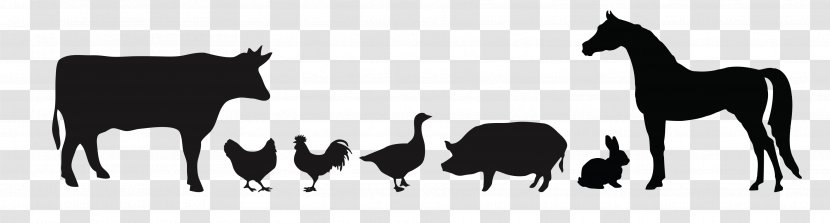 Chicken Duck Silhouette Cattle - Pasture - Poultry Transparent PNG
