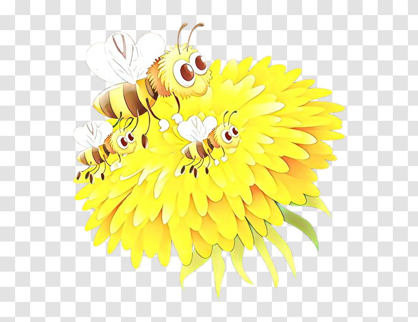 Flowers Background - Honey Bee - Gerbera Pollen Transparent PNG