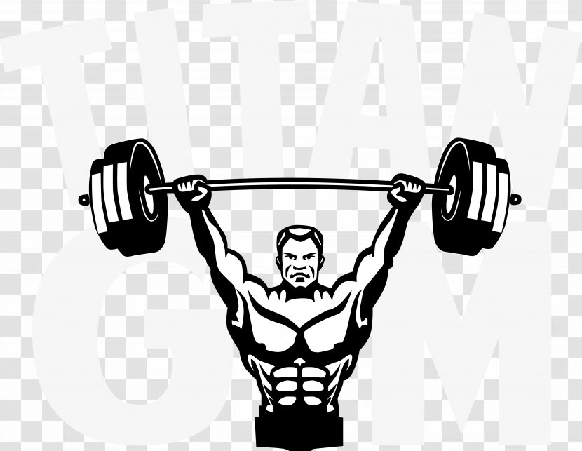 Barbell Weight Training Bodybuilding Olympic Weightlifting Power Rack - Gymnastics Transparent PNG