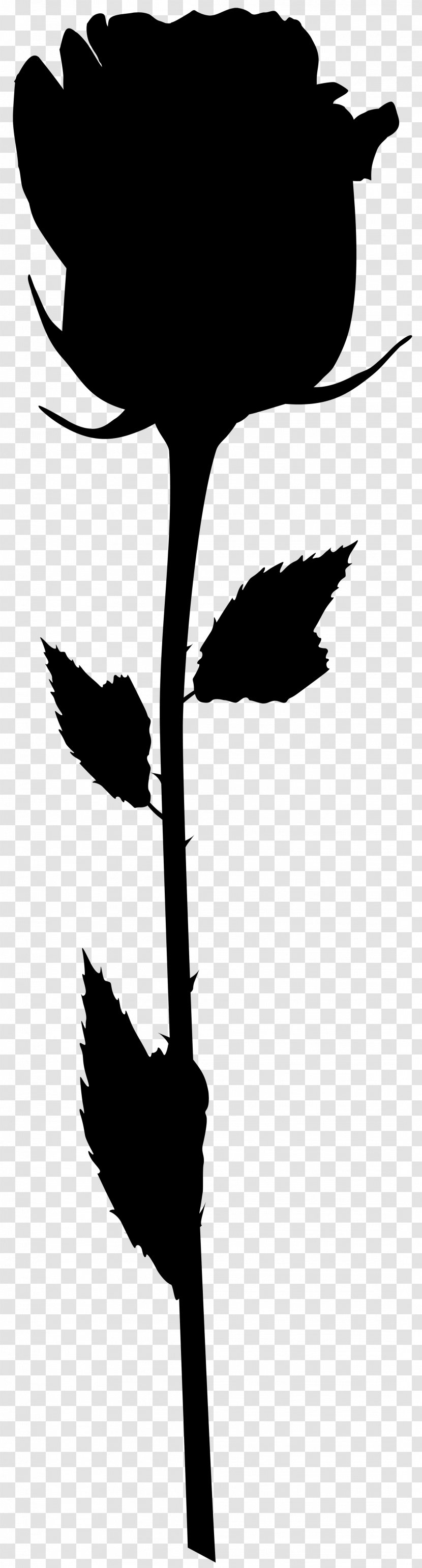 Bird Flower Clip Art Plant Stem Leaf - Botany - Twig Transparent PNG