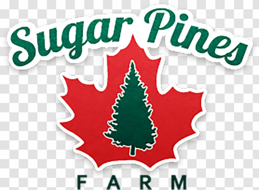 Christmas Tree Clip Art Sugar Pines Farm Brand Day Transparent PNG