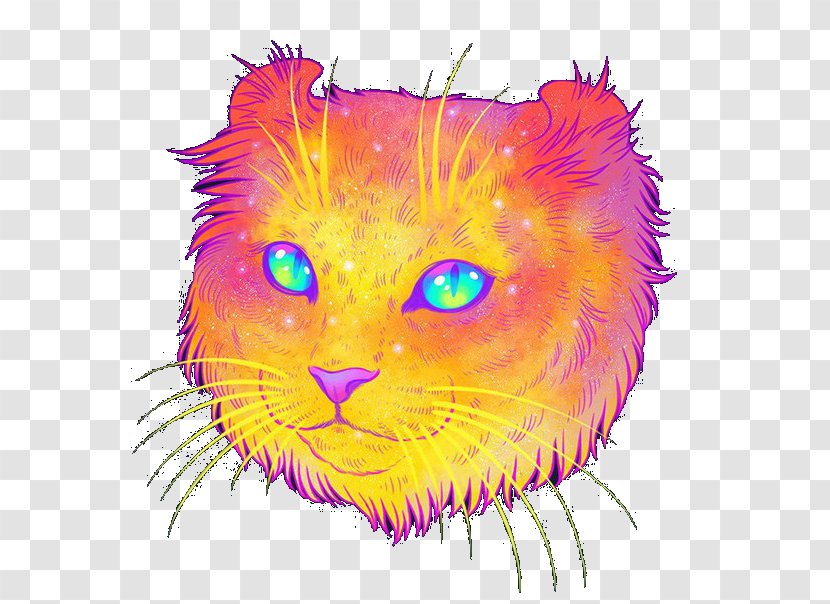 Cat Kitten Illustrator Felidae - Organism Transparent PNG