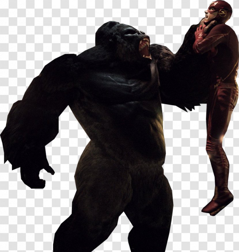 The Flash Gorilla Grodd Green Arrow Batman - Clipart Transparent PNG