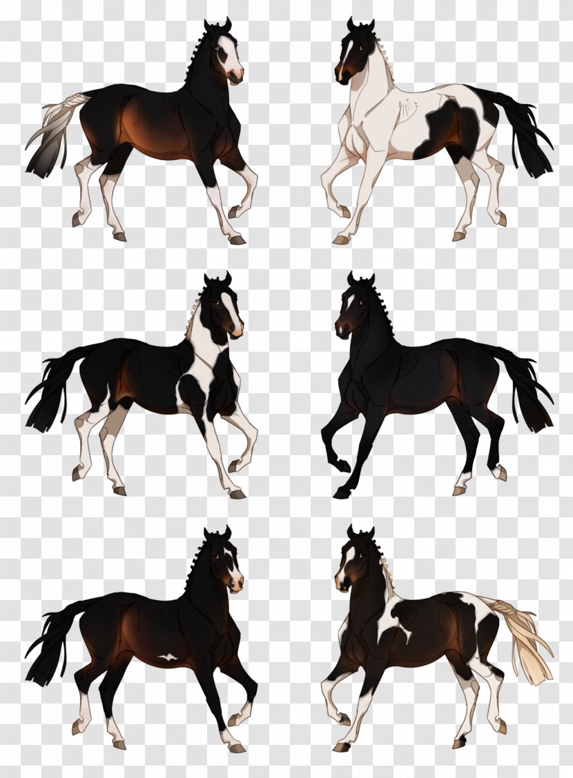 Mustang Stallion Mare Horse Tack Pack Animal - Like Mammal Transparent PNG