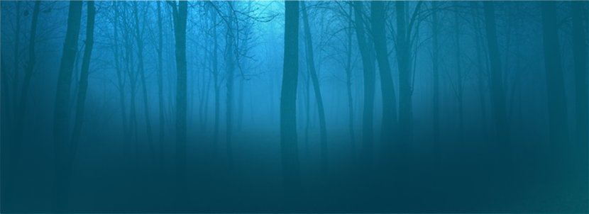 Blue Turquoise Wallpaper - Aqua - Forest Background Transparent PNG