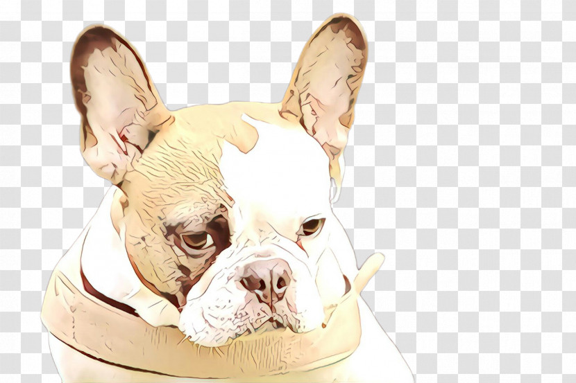 French Bulldog Transparent PNG