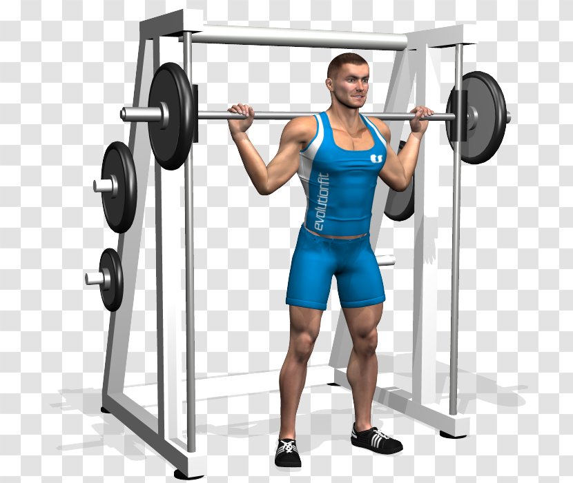 Powerlifting Muscle Massa Magra Sports Training - Flower - Barbell Squat Transparent PNG