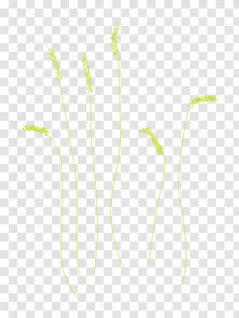 Grass Plant Stem Commodity Line Leaf - Branching - Moss tree Transparent PNG