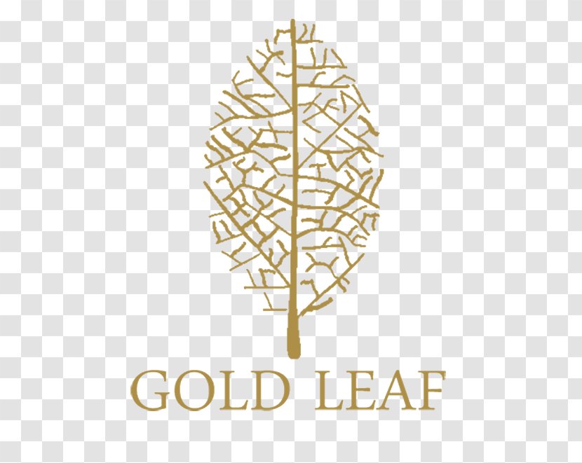 St. Clair College Tree Leaf Twig Font - Gold Transparent PNG