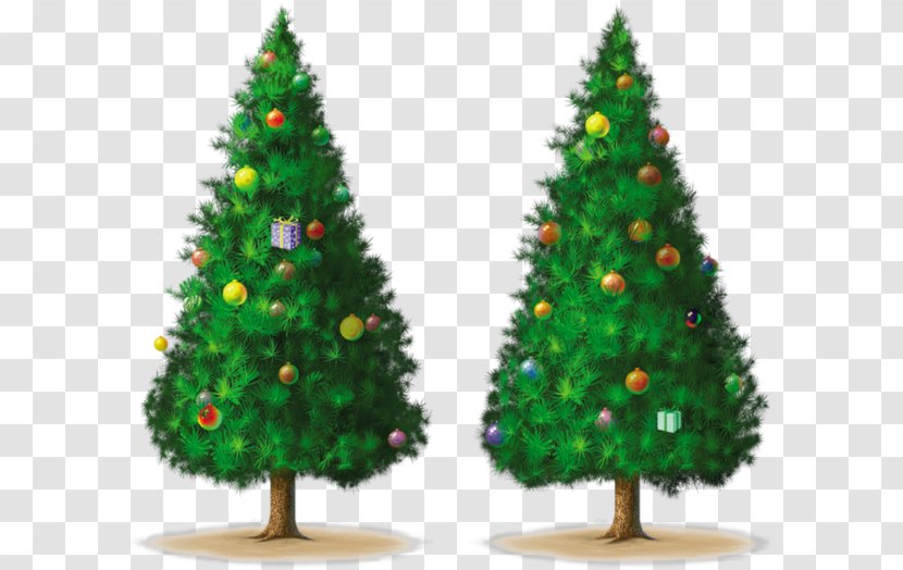 Christmas Tree Drawing Spruce Transparent PNG