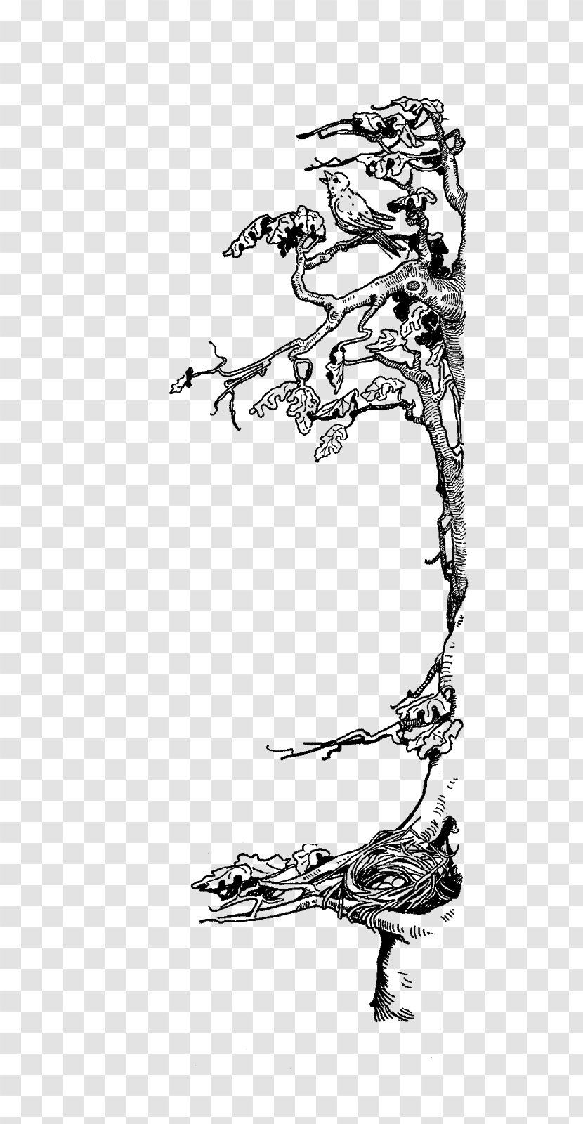 Line Art Visual Arts Shoe - Monochrome - Tree-bird Transparent PNG