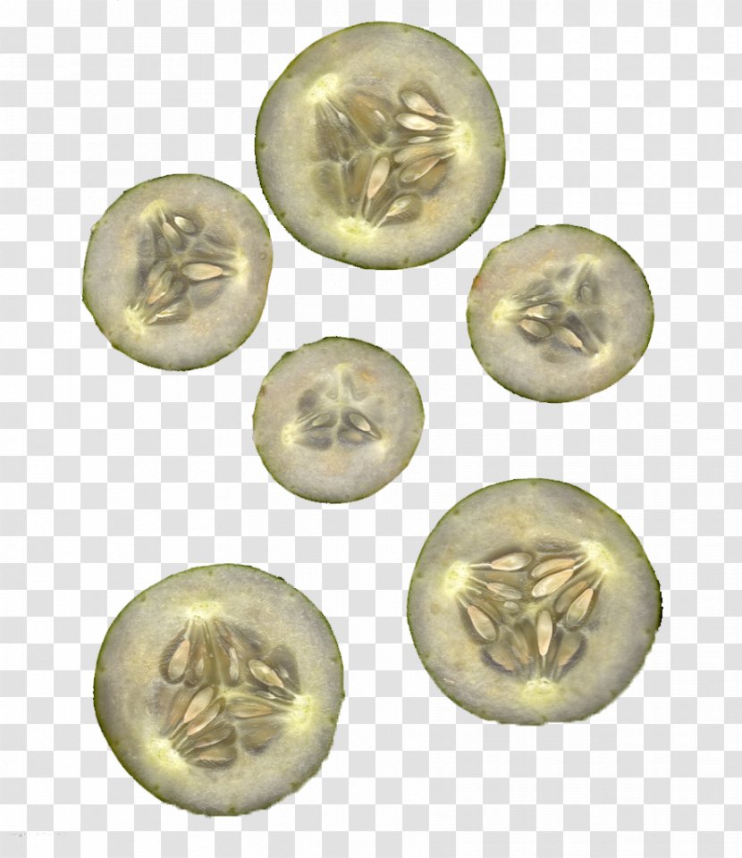Brass Coin - Metal - Cucumber Transparent PNG