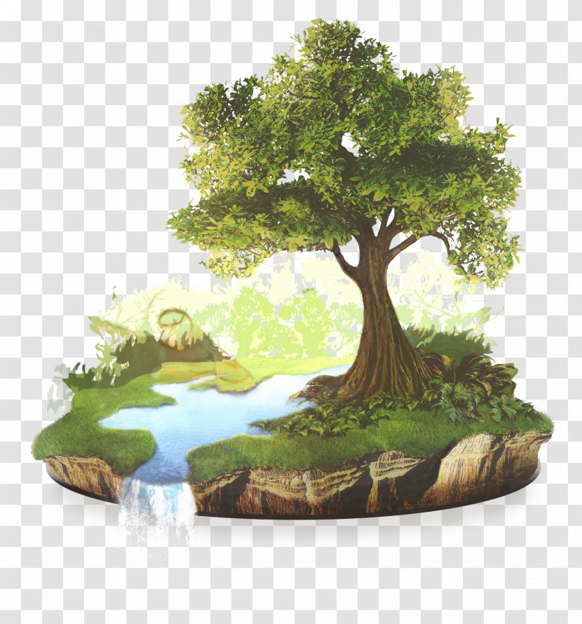 Tree Of Life - Conservation Agriculture - Plane Moss Transparent PNG