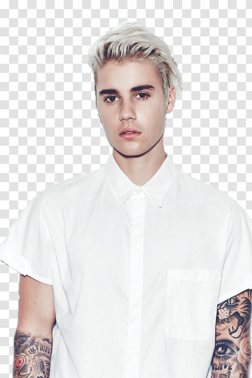 Justin Bieber YouTube I'm The One Singer-songwriter - Tree Transparent PNG