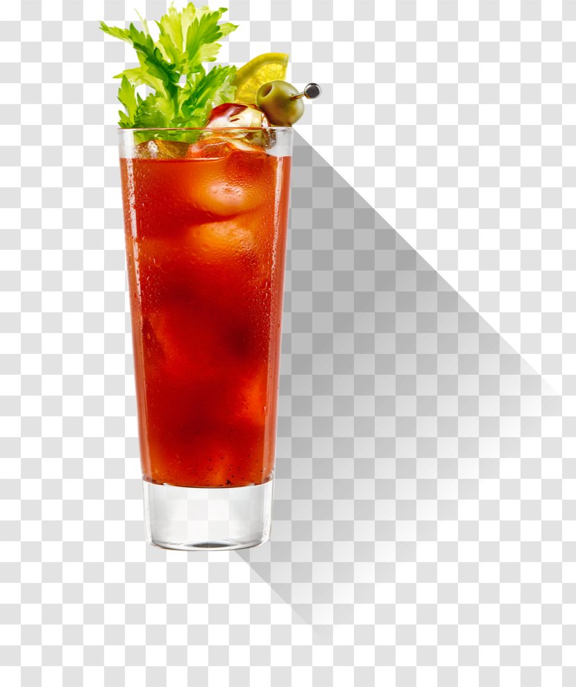 Bloody Mary Cocktail Tomato Juice Vodka Sea Breeze - Cartoon Transparent PNG
