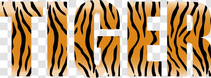 Sundarbans Bengal Tiger Clip Art - Mammal - Fonts Clipart Transparent PNG