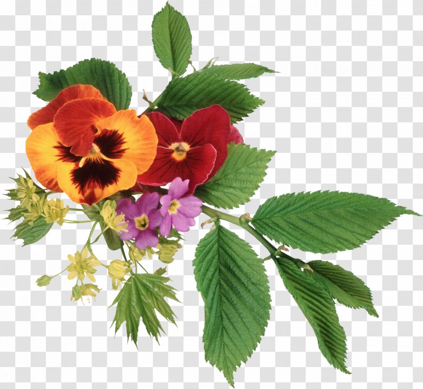 Pansy Flower Bouquet Clip Art - Picture Frame - Flowers Element Floral Patterns,Exquisite Leaves Transparent PNG