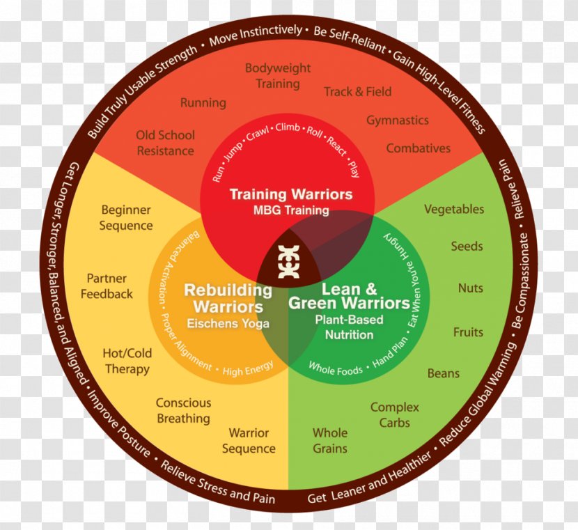 Monkey Bar Gymnasium Gym, Inc Philosophy Fitness Centre Mile High Gym - Wheel Transparent PNG