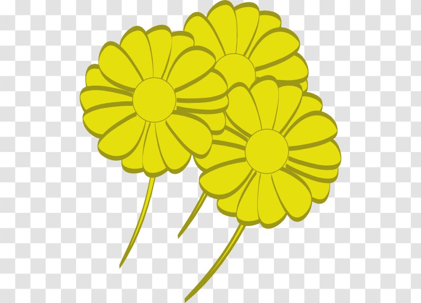 Flower Yellow Clip Art - Daisy Family - Flowers Transparent PNG