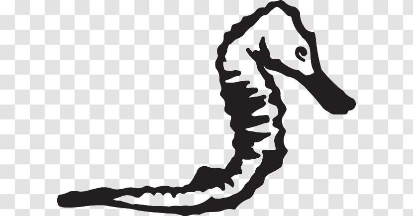 Seahorse White Shoe Clip Art Transparent PNG