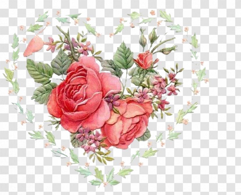 Animation Rose - Floristry - Love Transparent PNG