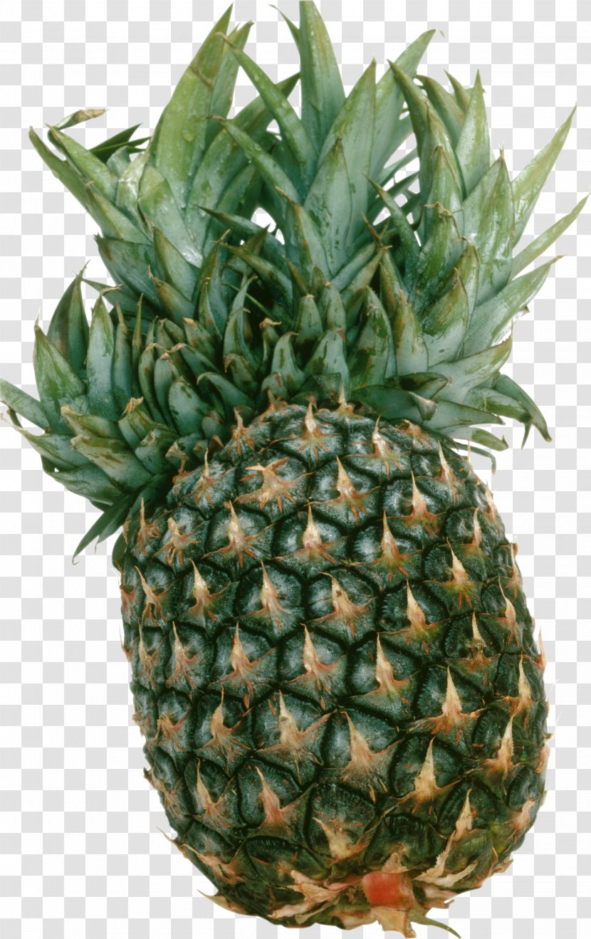 Pineapple Fruit Clip Art Transparent PNG