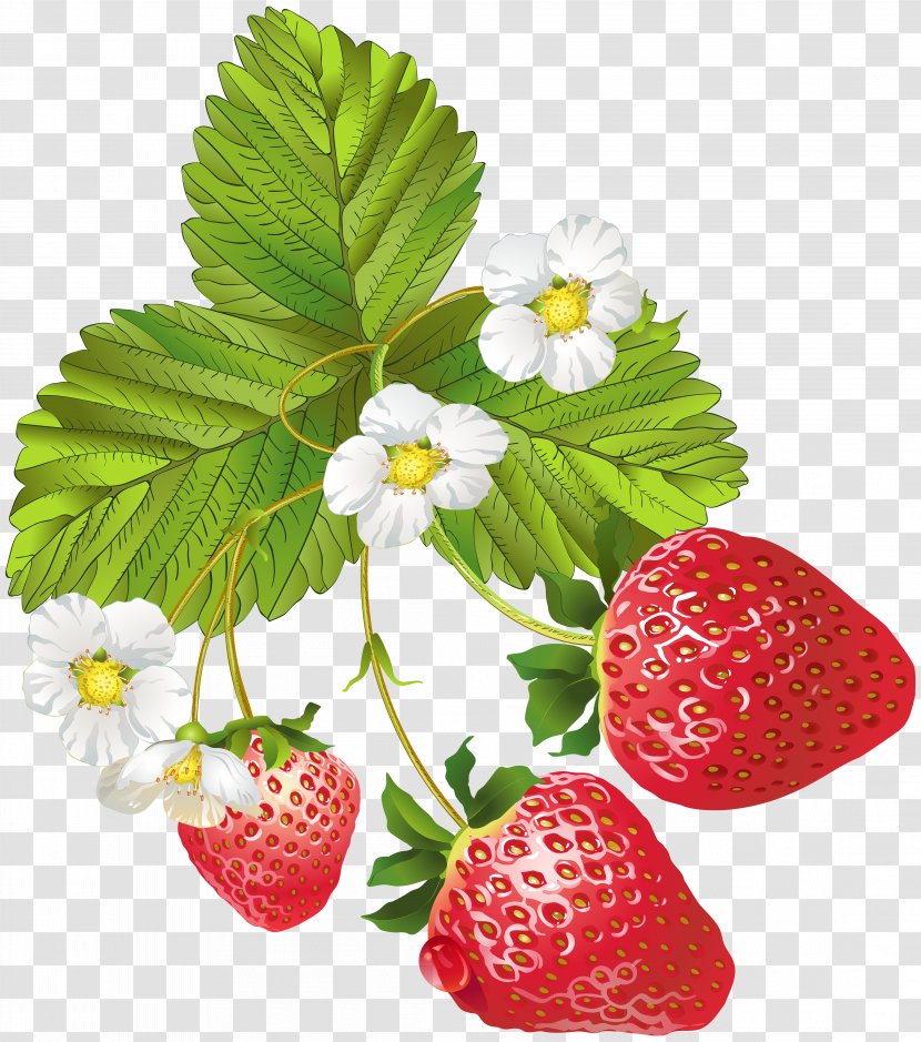 Strawberry Frutti Di Bosco Clip Art - Food - Blooming Strawberries Image Transparent PNG