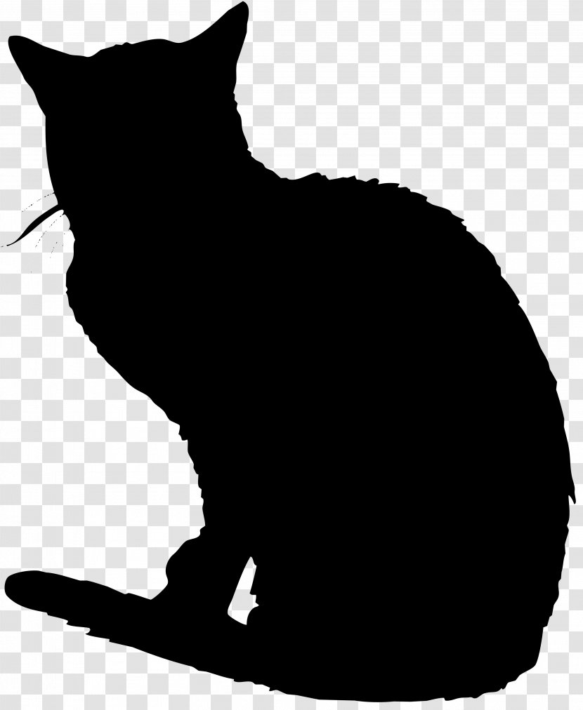 Black Cat Domestic Short-haired Whiskers Wildcat - Photography - Park Transparent PNG