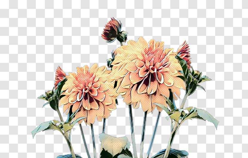 Flowers Background - Pop Art - Floristry Daisy Family Transparent PNG
