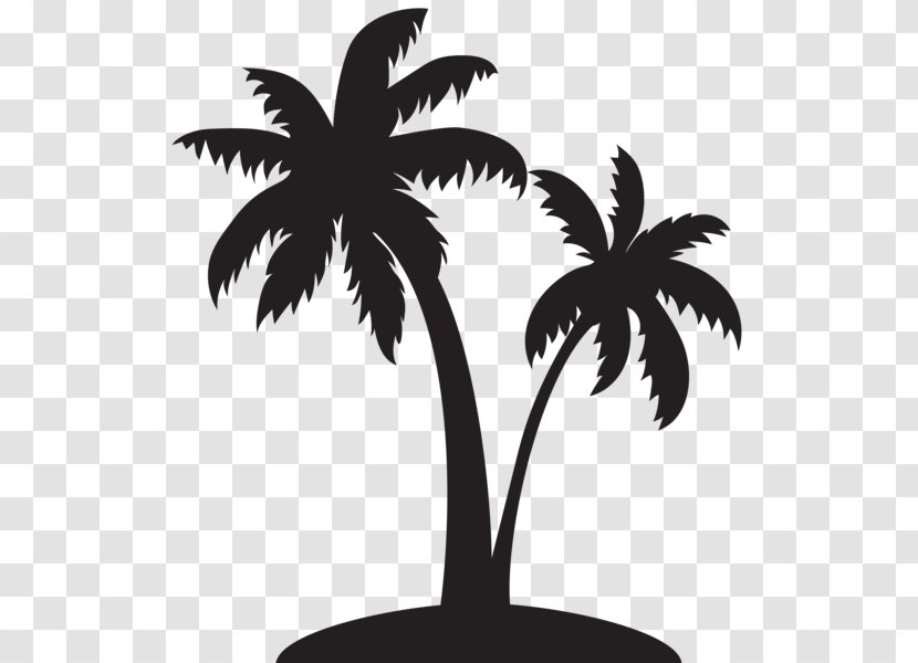 Arecaceae Silhouette Clip Art - Plant Transparent PNG