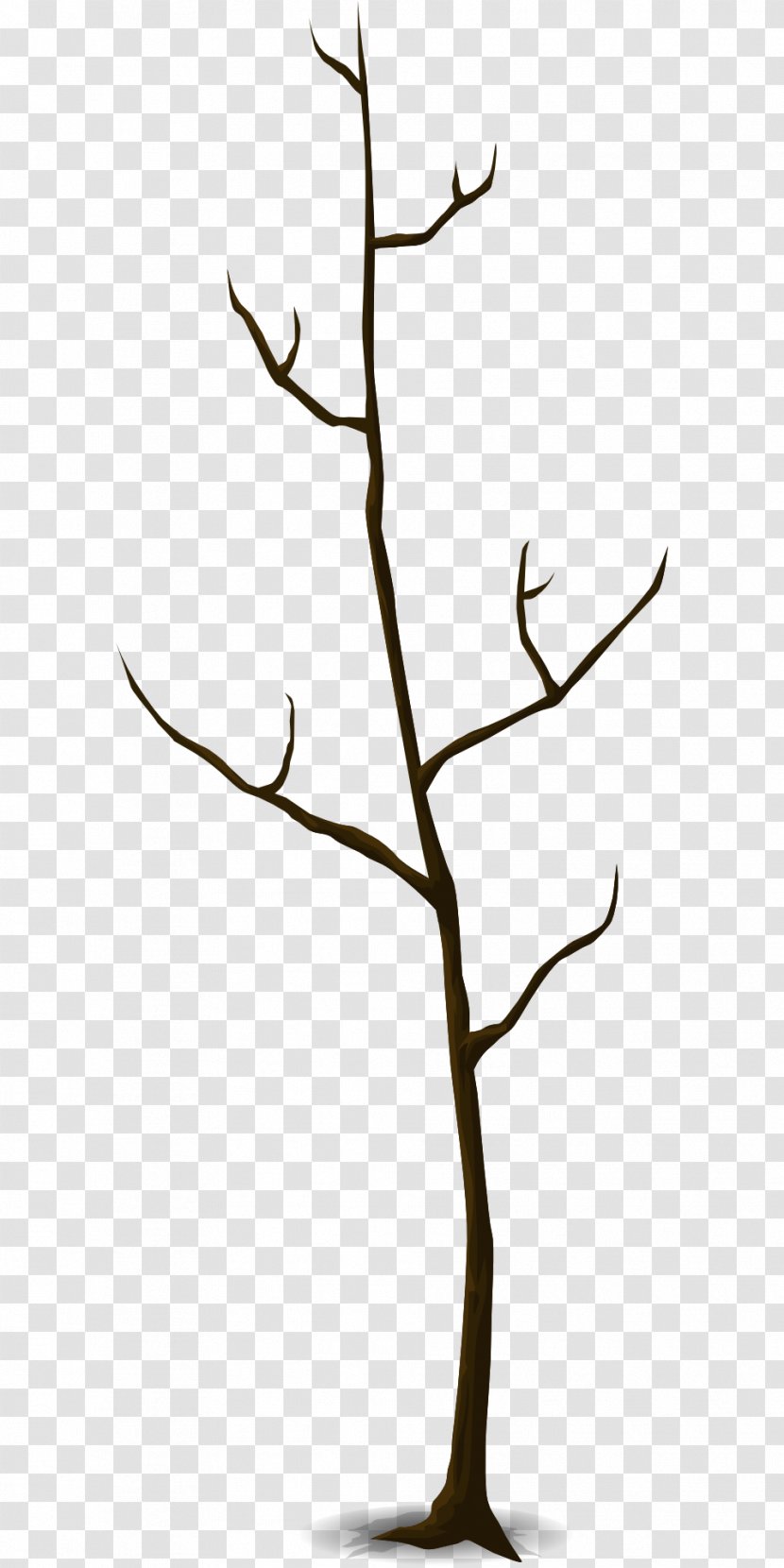 Twig Trunk Leaf Tree Branch - Root Transparent PNG