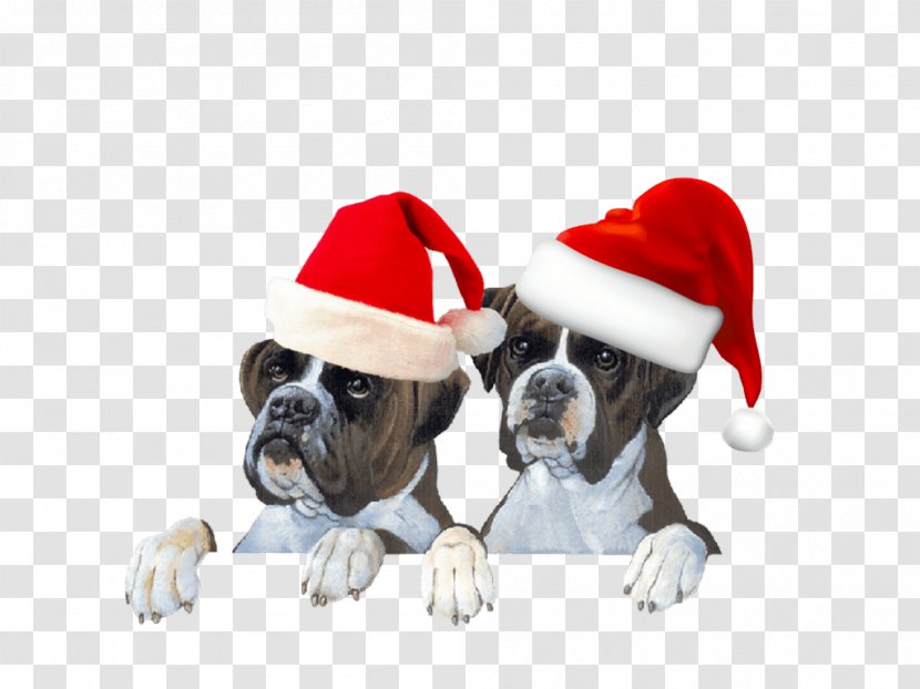 Dog Breed Puppy Boxer Santa Claus Cat - MASCOTAS Transparent PNG