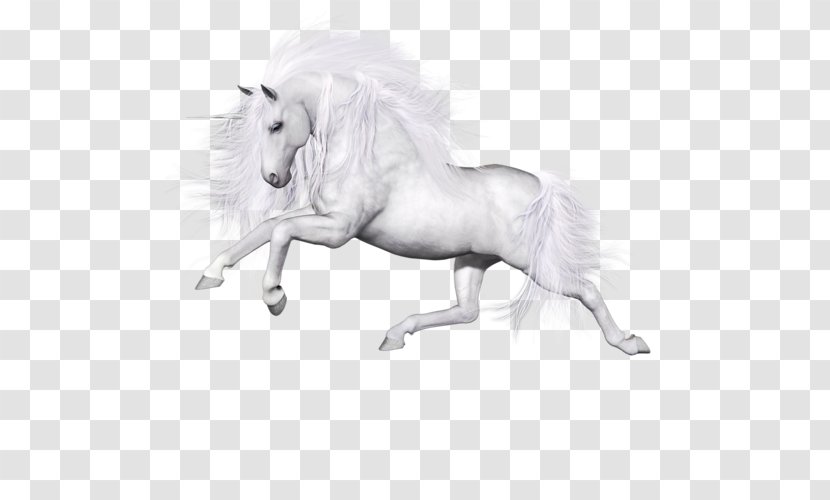 Horse Unicorn Image Pegasus - White Transparent PNG