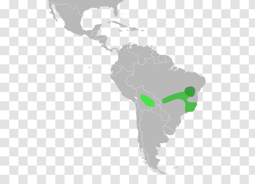 Latin America Caribbean South Central United States - Water Transparent PNG