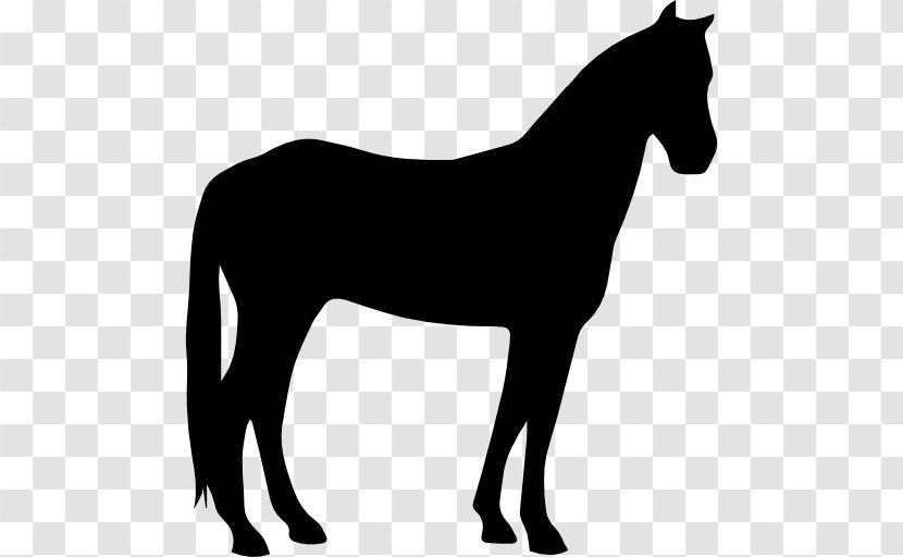 Criollo Horse Arabian American Paint Quarter Howrse - Silhouette Transparent PNG