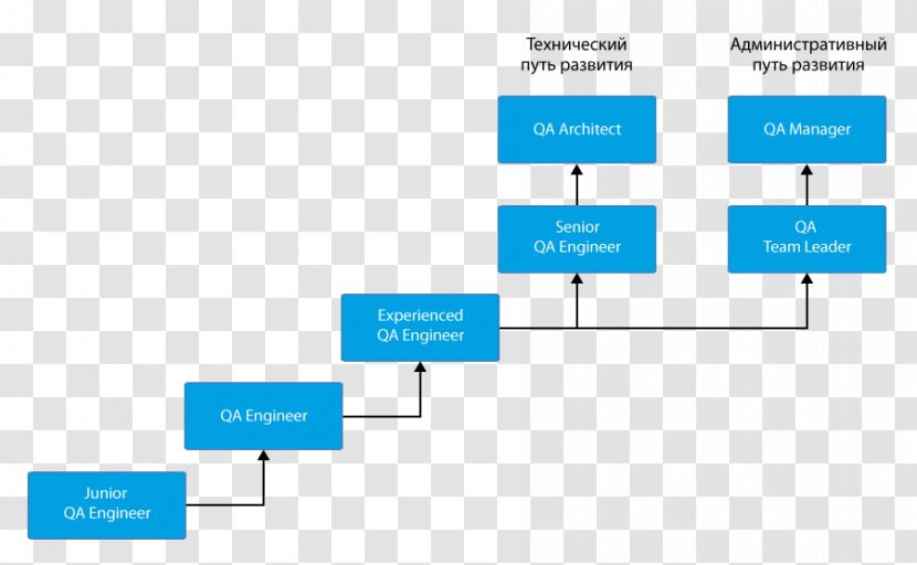 Career Тестировщик Quality Assurance Software Testing Engineer - Organization Transparent PNG