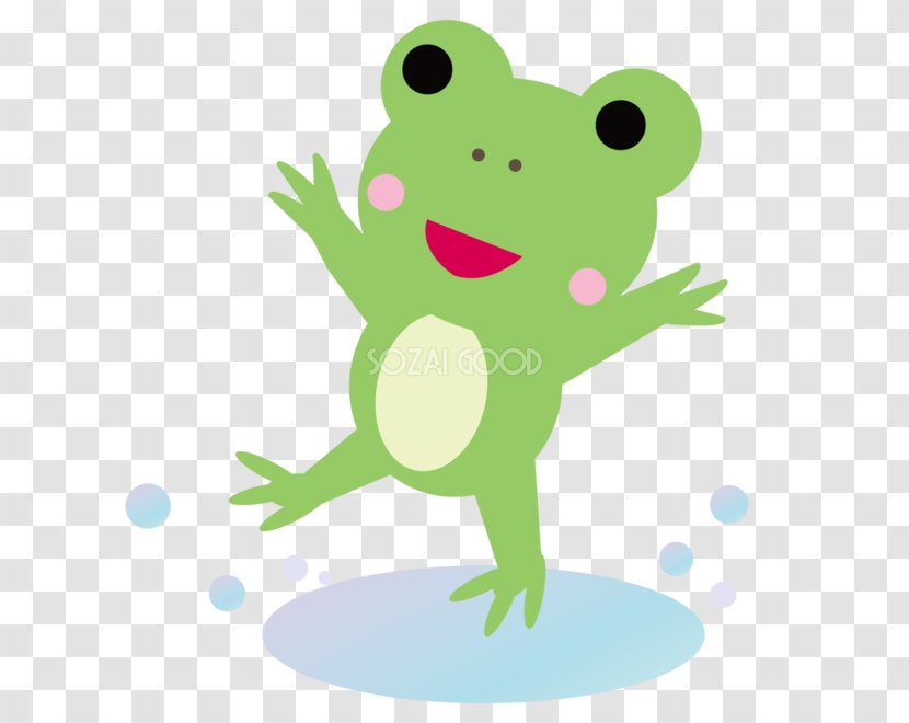 Tree Frog Puddle Clip Art - Ai.zip Transparent PNG