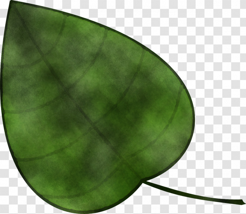 Green Leaf Plant Transparent PNG