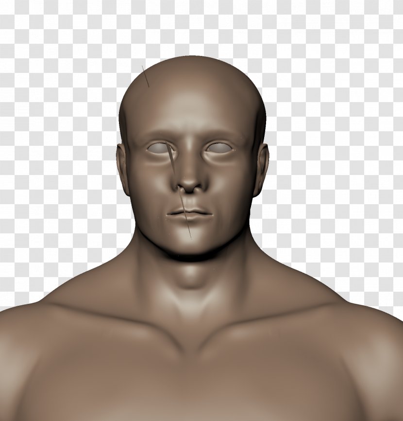 Forehead Chin Cheek Jaw Homo Sapiens - Mannequin - Joint Transparent PNG