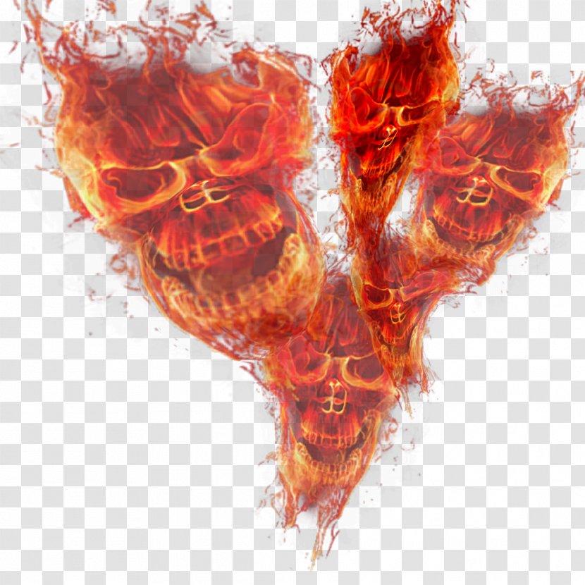 Fire Flame Skull Light - Flower Transparent PNG