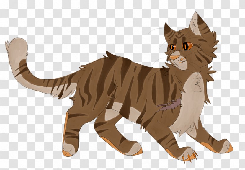 Cat Tiger Tawnypelt Cheetah Transparent PNG