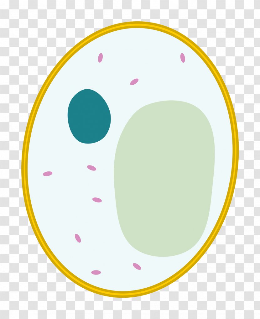 Circle Oval Point - Yellow - Cell Transparent PNG
